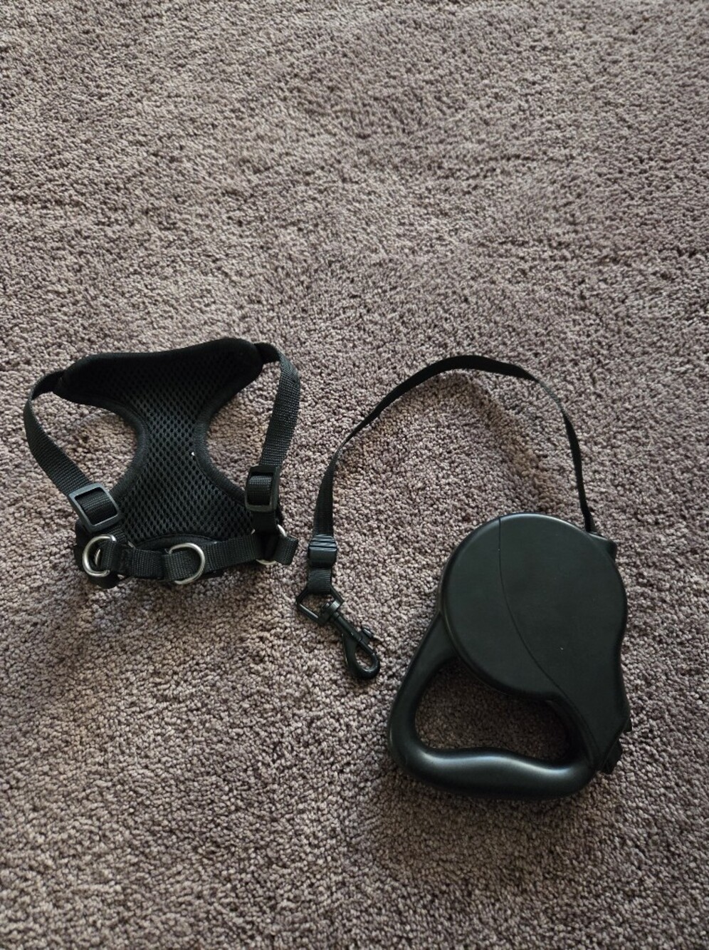 Dog Harness XS and Retractable Leash